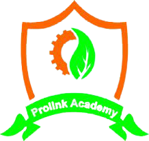 Prolink Academy logo